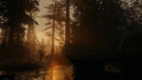 8. Alan Wake 2 Deluxe Edition PL (PS5) 